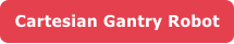 Cartesian Gantry Robot
